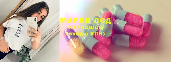 стафф Арсеньев
